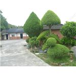 造型綠牆 - 宅良工程有限公司