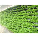 工地綠籬-林口仁愛路 - 宅良工程有限公司