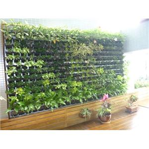 住宅綠牆-北市南昌路