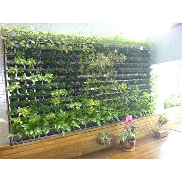 住宅綠牆-北市南昌路,宅良工程有限公司