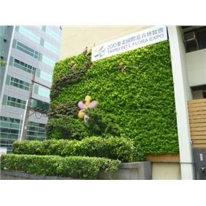 景觀綠牆-中山區公所