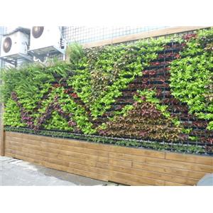 景觀綠牆-龍潭工五廠辦