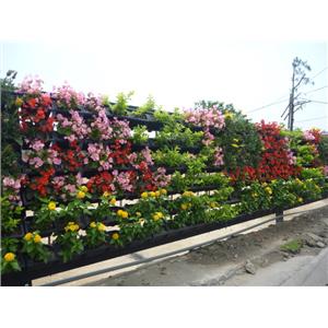 景觀綠籬-桃園八德三本建設