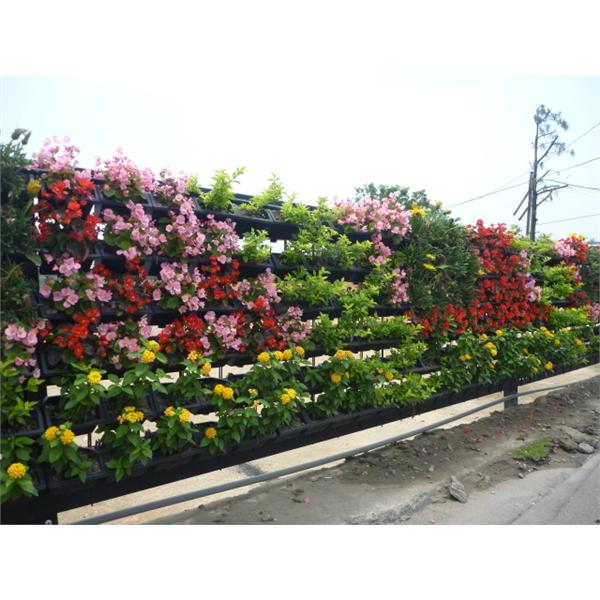 景觀綠籬-桃園八德三本建設,宅良工程有限公司