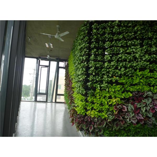 龍潭廠辦-室內植生墻01,宅良工程有限公司