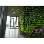 龍潭廠辦-室內植生墻01 - 宅良工程有限公司