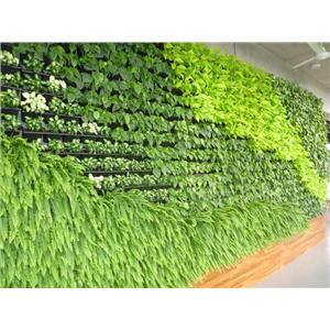 龍潭廠辦-室內植生墻工程