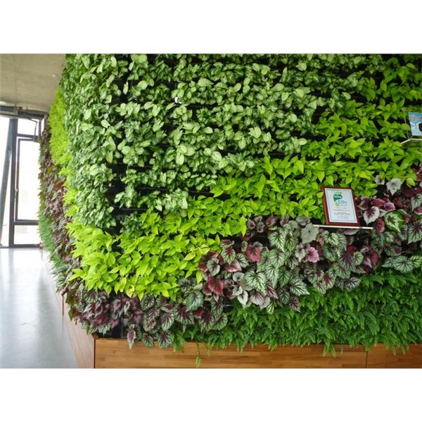 龍潭廠辦-室內植生墻工程,宅良工程有限公司