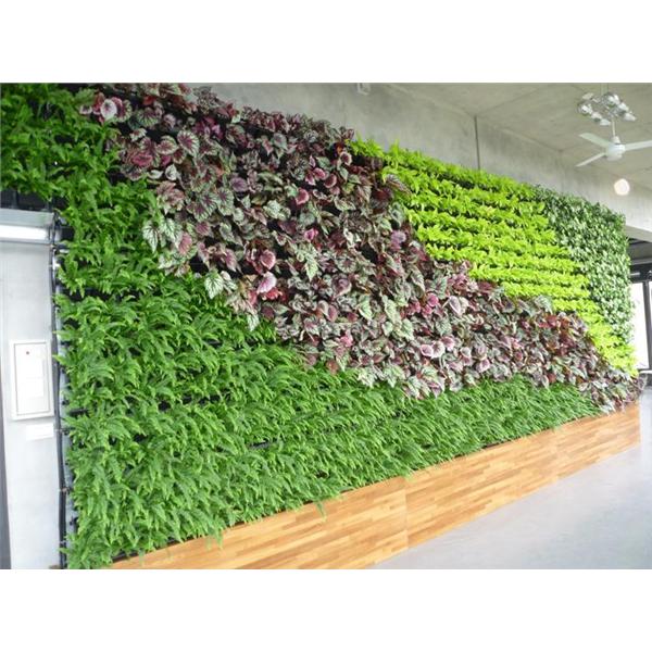 龍潭廠辦-室內植生墻工程,宅良工程有限公司
