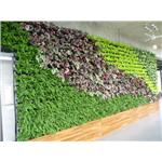 龍潭廠辦-室內植生墻工程 - 宅良工程有限公司