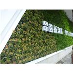 汐止植生墻工程 - 宅良工程有限公司