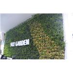 汐止植生墻工程