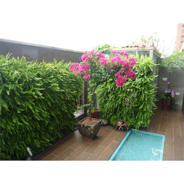 空中花園工程,宅良工程有限公司