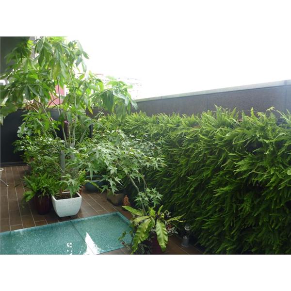 空中花園工程,宅良工程有限公司