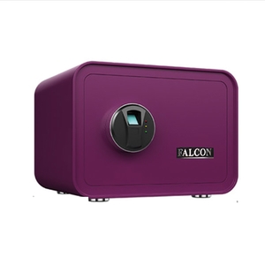 Falcon Safe：D-25FP , 億保實業有限公司