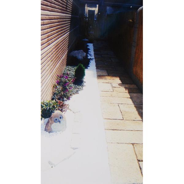 庭園造景,園知景觀綠化有限公司