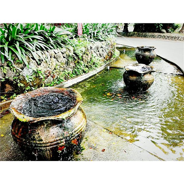 水池造景,園知景觀綠化有限公司