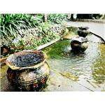 水池造景 - 園知景觀綠化有限公司