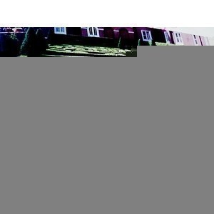 庭園造景花草種植