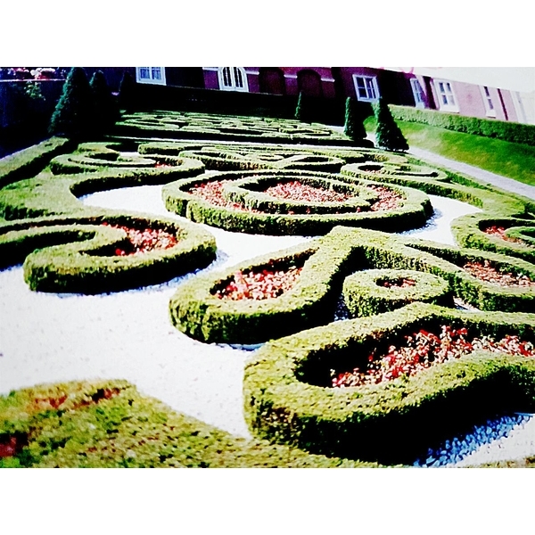 庭園造景花草種植,園知景觀綠化有限公司