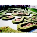 庭園造景花草種植