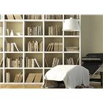 書櫃,極星裝潢修繕