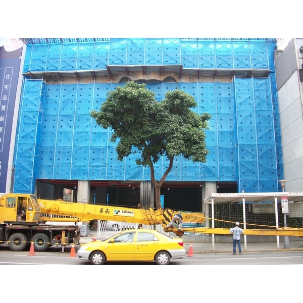 鷹架工程24,信嬅工程有限公司