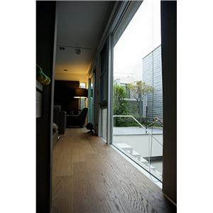 台南府城_碧波飛_謝宅