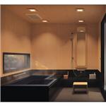 12264131-10系統衛浴