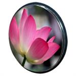 SHS-60P不鏽鋼防盜鏡 , 旭宏國際有限公司
