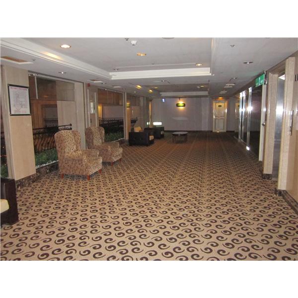 桃企飯店大廳地毯 桃企飯店大廳地毯,晉源裝潢有限公司