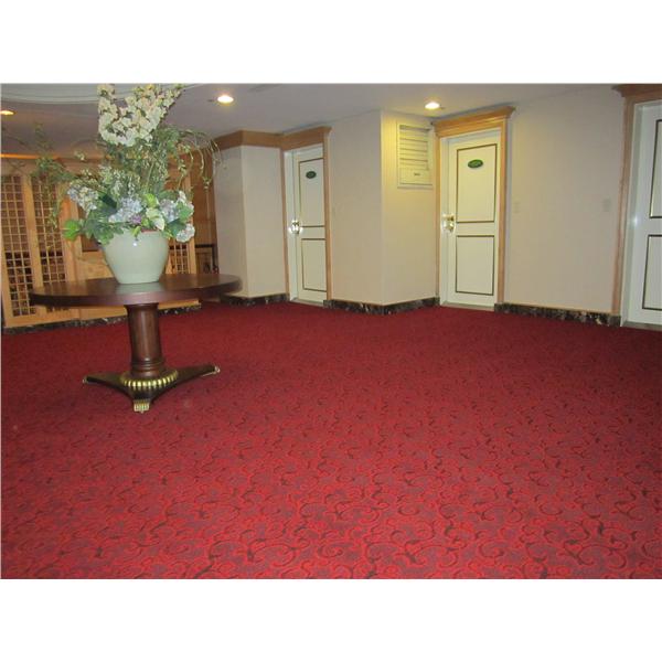 桃企飯店大廳(地毯),晉源裝潢有限公司