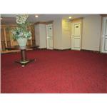 桃企飯店大廳(地毯) - 晉源裝潢有限公司