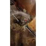 地下室湧泉止漏 - 萬泉工程有限公司