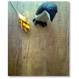 6711 核桃木紋,博陵國際有限公司