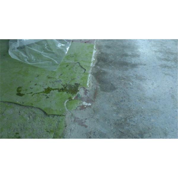 老舊epoxy地坪磨除後的交界
