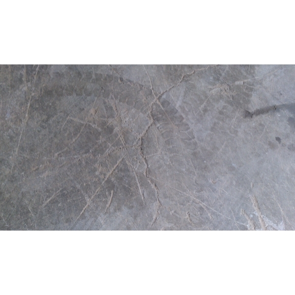 未經強化使用久了的地坪