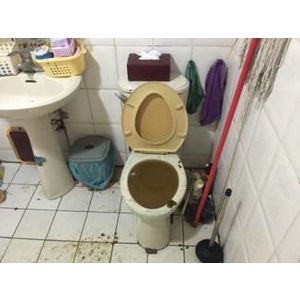 春福江山疏通糞管施工照片