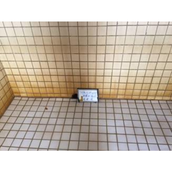 水塔清洗中,一太清潔衛生工程行