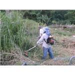 除草 - 誠炫企業有限公司