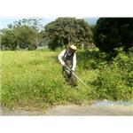 除草 - 誠炫企業有限公司