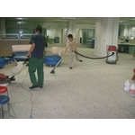 地毯清洗清潔 - 誠炫企業有限公司