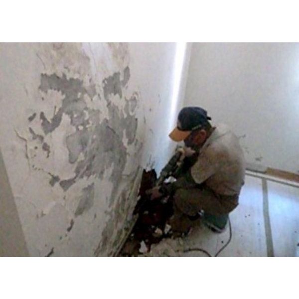 白華處理 白華處理,誠炫企業有限公司