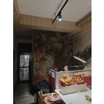 礦物鐵銹 - 極致清水塗裝有限公司