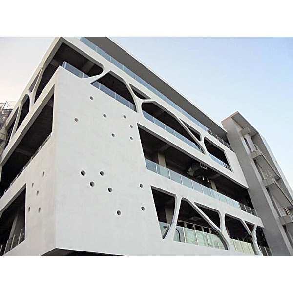 外牆紋理矽潔塗料,極致清水塗裝有限公司