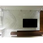 銀狐造型電視牆 - 年倡科技有限公司