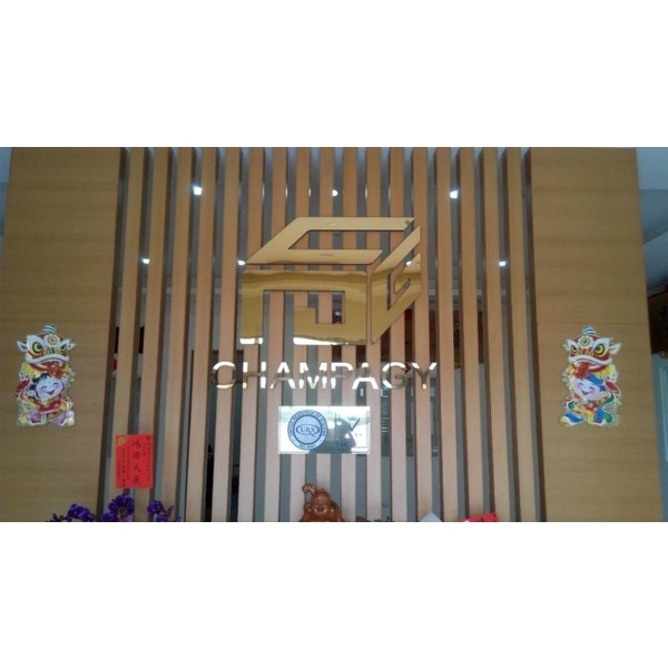 平面鈦金字,高豐光電有限公司