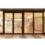 台北＆#32479;一阪急百貨-平衡易推門 - 丹特門控集團