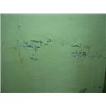 工程實績 - 奇佳油漆工程行