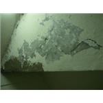 工程實績 - 奇佳油漆工程行